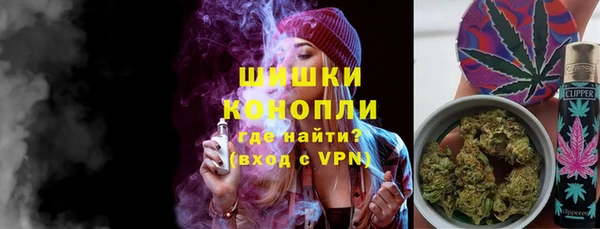 spice Аркадак
