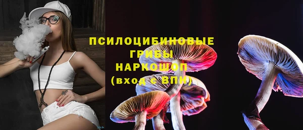 spice Аркадак