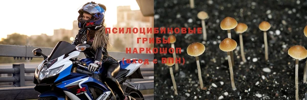 spice Аркадак