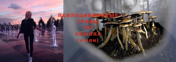 соль ск Покачи