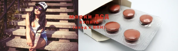spice Аркадак