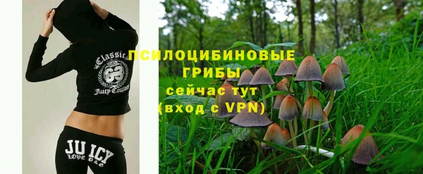 spice Аркадак