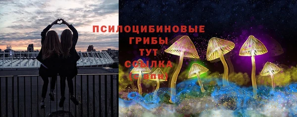 мет Армянск