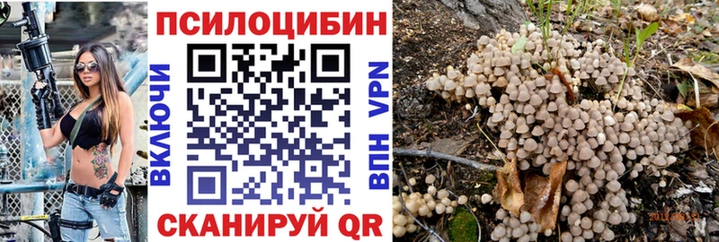 Галлюциногенные грибы ЛСД Родники